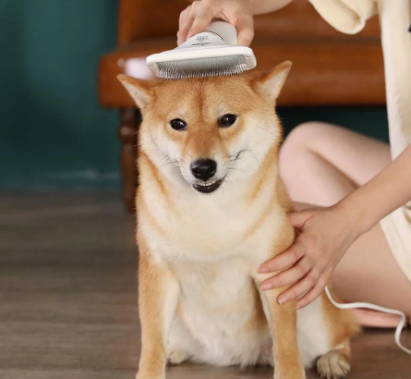 Miniatura 2 de Cepillo Para Perro Secador